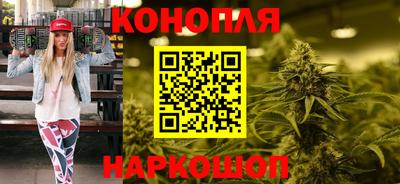 a pvp Кингисепп