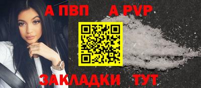 a pvp Кингисепп