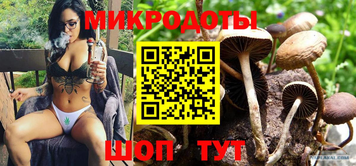 даркнет сайт  Вход с VPN  Карпинск  Галлюциногенные грибы MAGIC MUSHROOMS  Псилоцибиновые грибы Cubensis 
